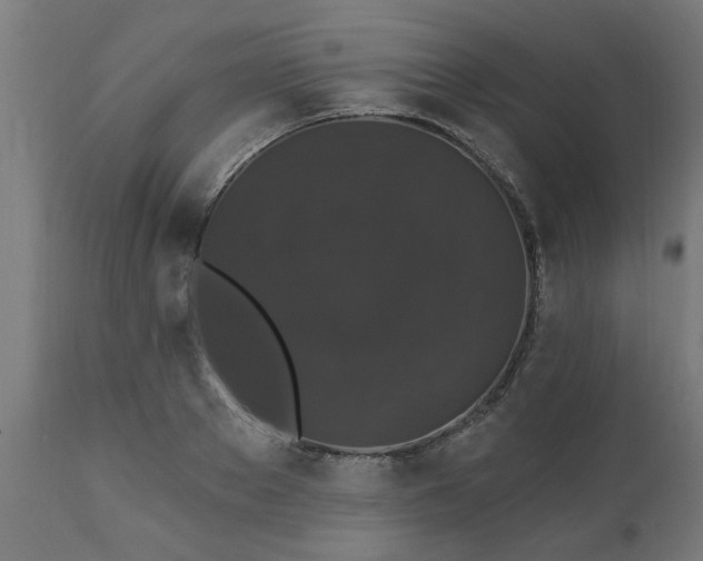X0000111830889200907301317