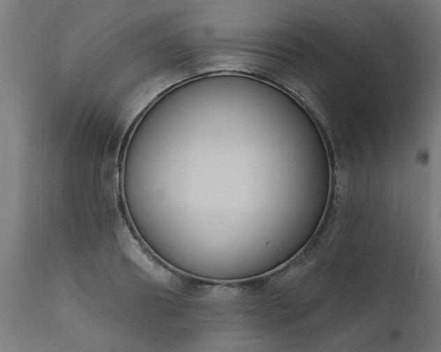 X0000111830890200907301317