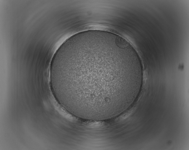 X0000111830891200907301317