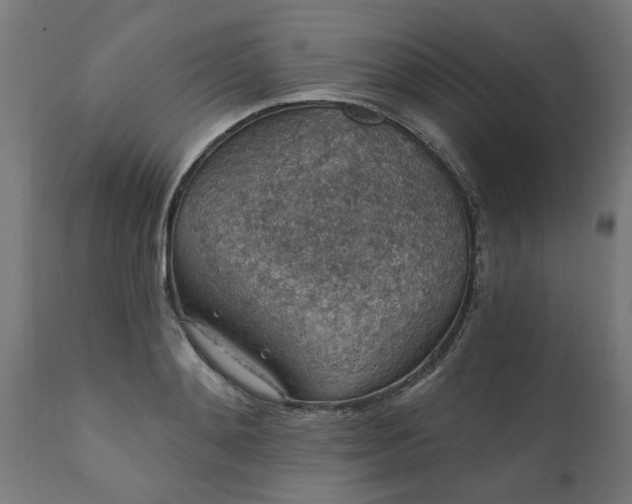 X0000111830892200907301317