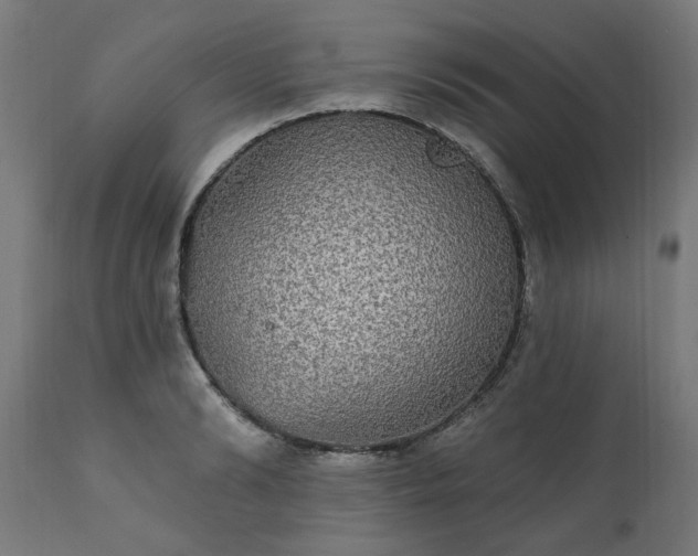 X0000111830894200907301317