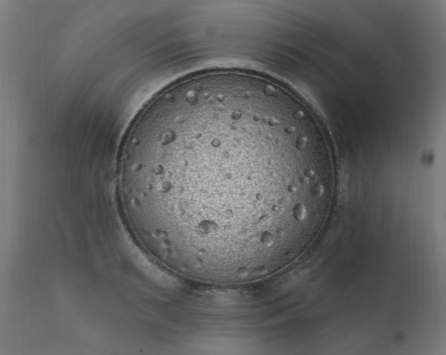 X0000111830895200907301317