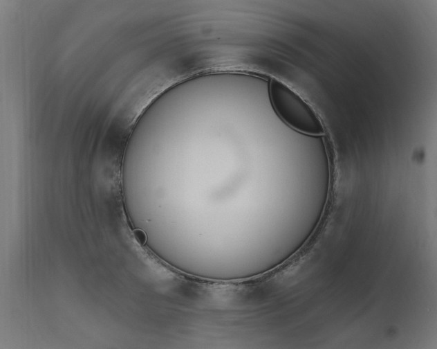 X0000111830897200907301317