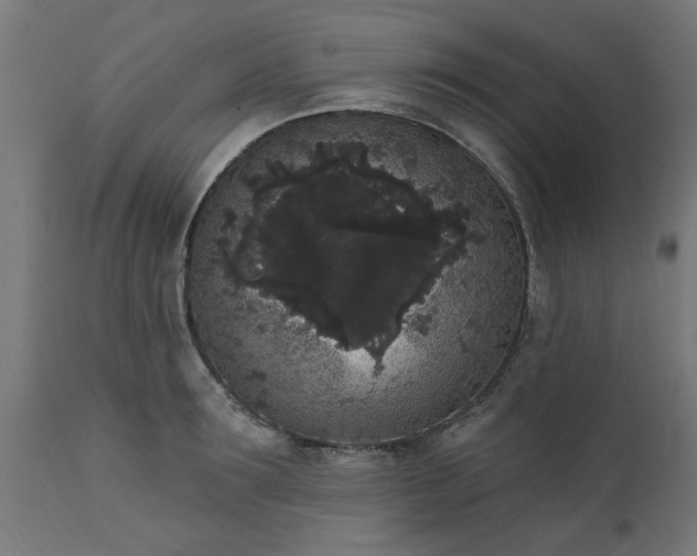 X0000111830899200907301317