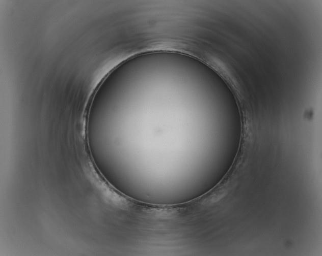 X0000111830900200907301317