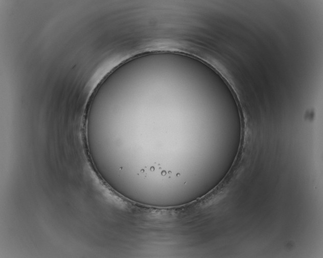 X0000111830901200907301317