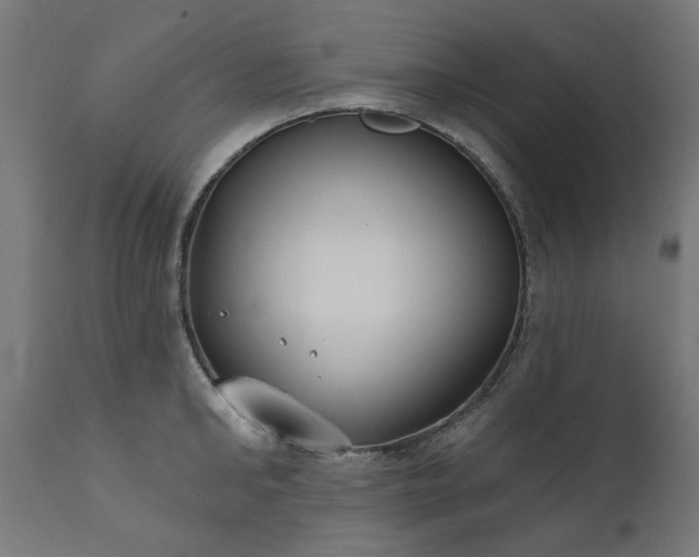 X0000111830902200907301317