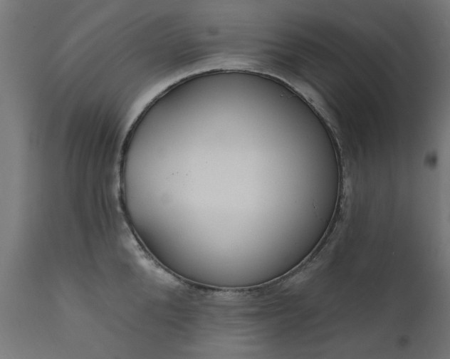 X0000111830904200907301317