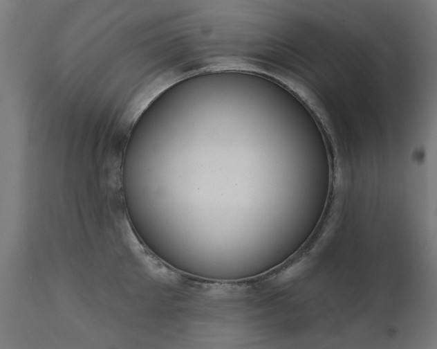 X0000111830905200907301317