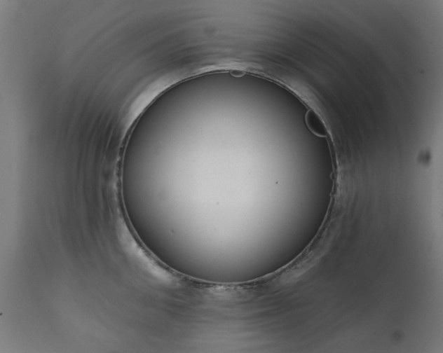 X0000111830906200907301317