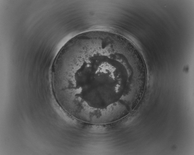 X0000111830907200907301317