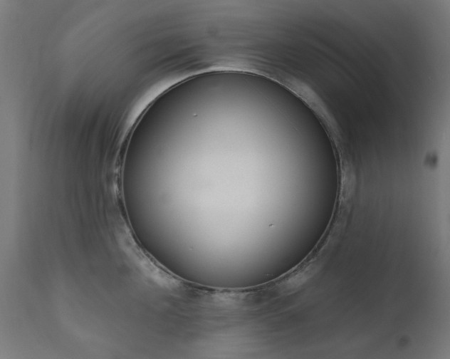 X0000111830908200907301317