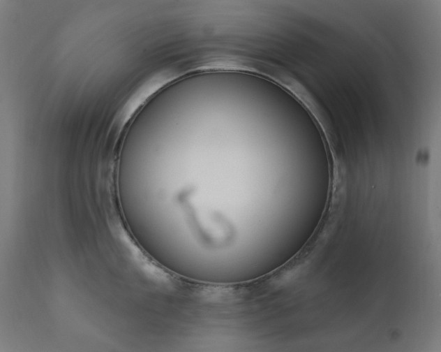 X0000111830909200907301317