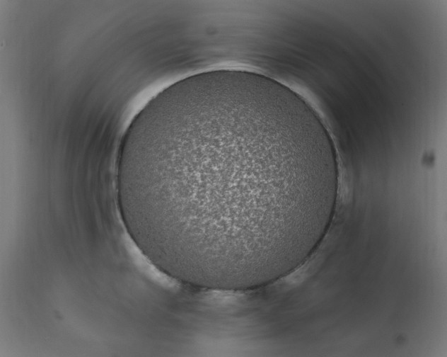 X0000111830910200907301317