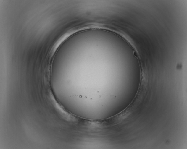 X0000111830911200907301317