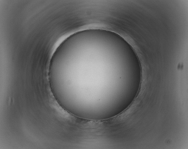 X0000111830912200907301317