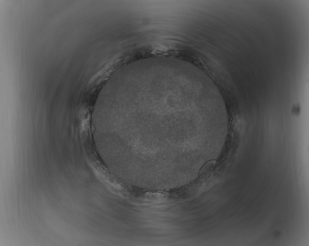 X0000111830914200907301316