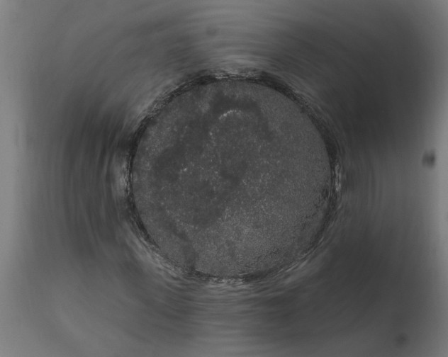 X0000111830915200907301316