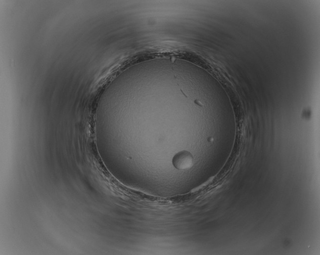 X0000111830916200907301316