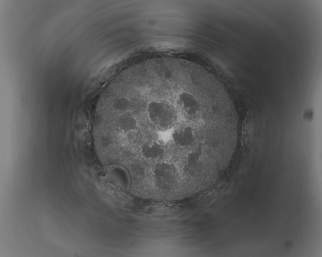 X0000111830917200907301316