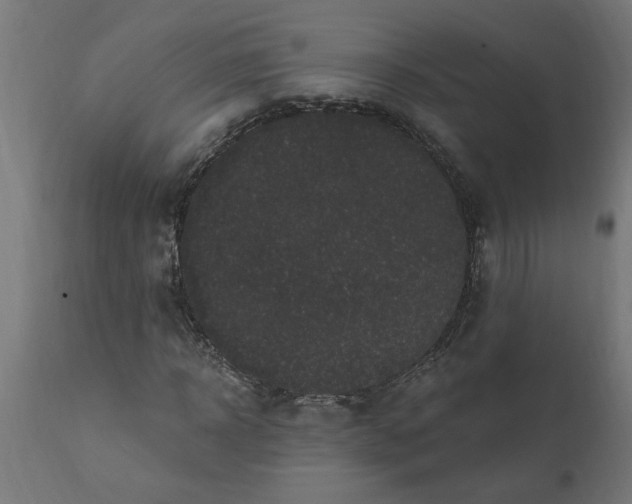 X0000111830918200907301316
