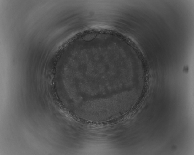 X0000111830919200907301316