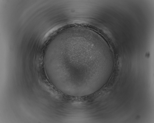 X0000111830920200907301316