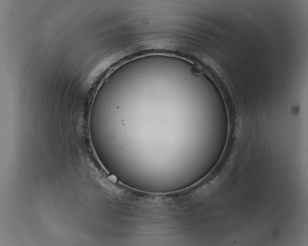 X0000111830922200907301316