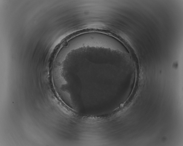 X0000111830923200907301316