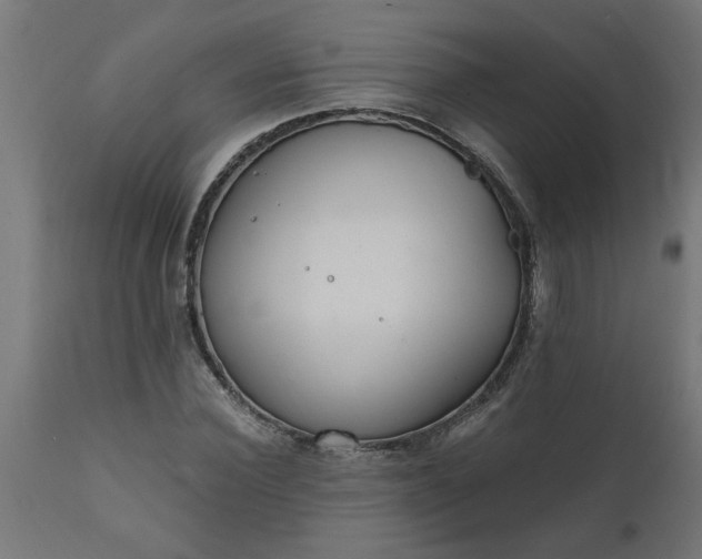 X0000111830924200907301316