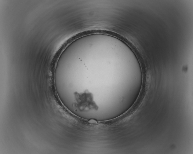 X0000111830926200907301316