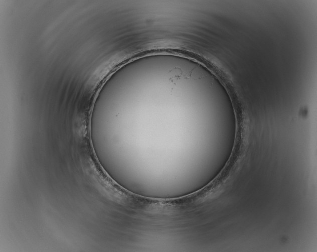 X0000111830929200907301316