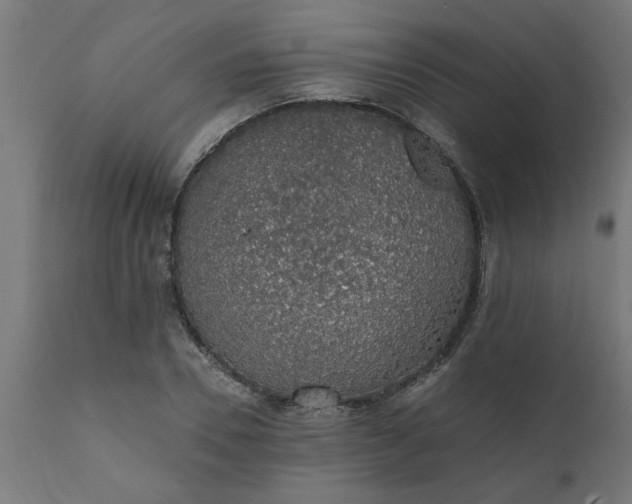 X0000111830930200907301316