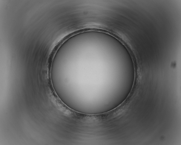 X0000111830931200907301316