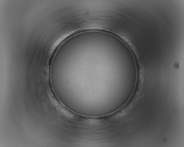 X0000111830933200907301316