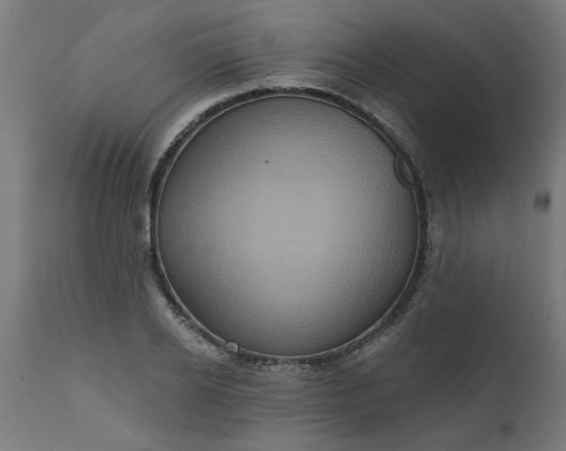 X0000111830934200907301316