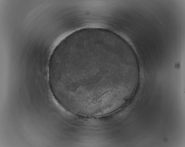 X0000111830935200907301316