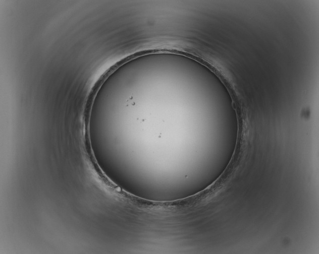 X0000111830936200907301316