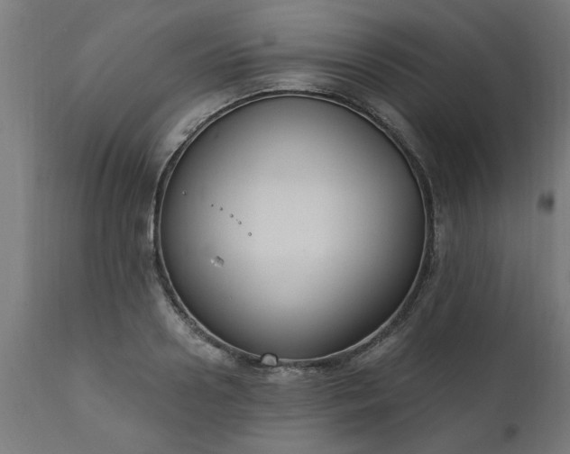 X0000111830938200907301316