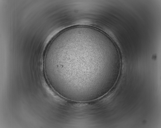 X0000111830939200907301316