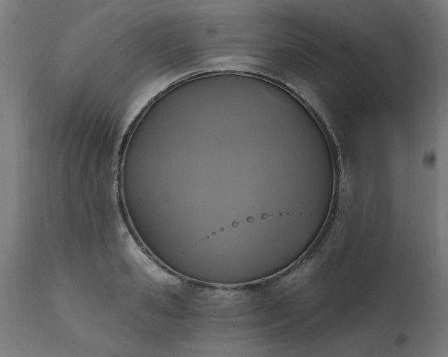 X0000111830941200907301316