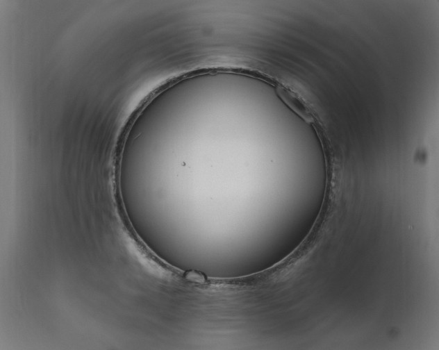 X0000111830942200907301316