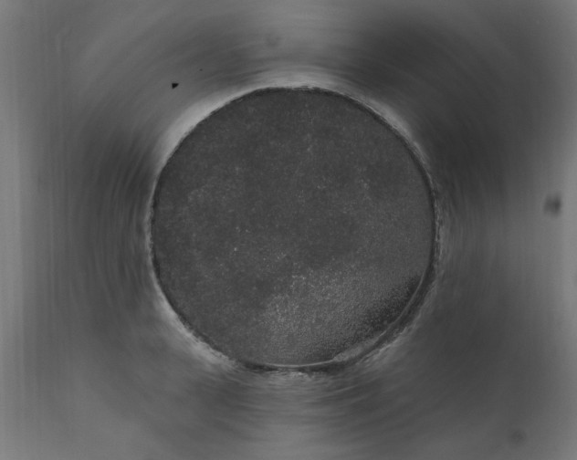 X0000111830943200907301316