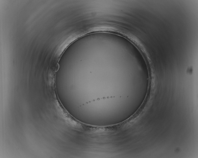 X0000111830945200907301316