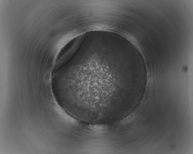 X0000111830946200907301316