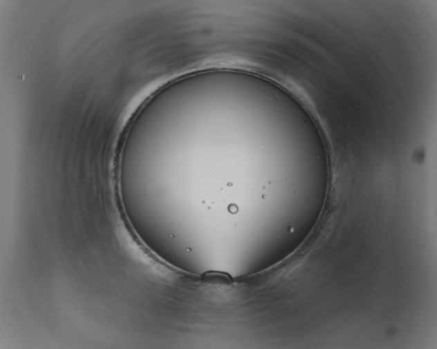 X0000111830947200907301316