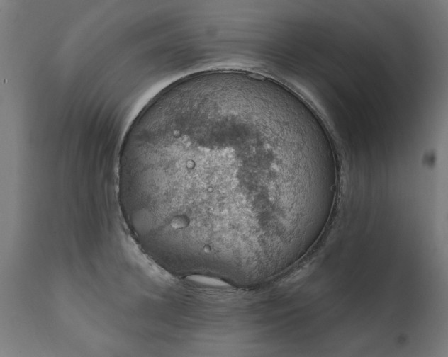 X0000111830948200907301316