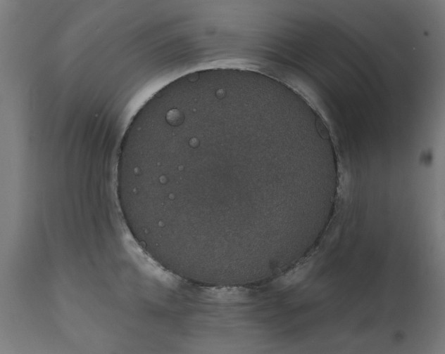X0000111830952200907301316