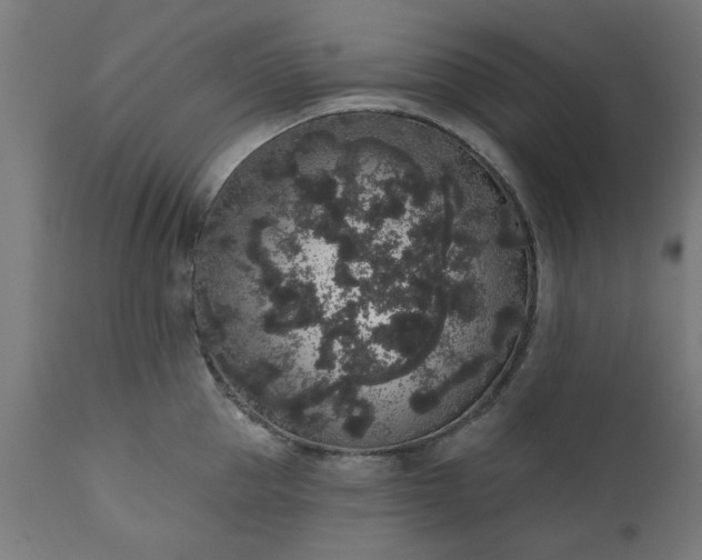 X0000111830953200907301316