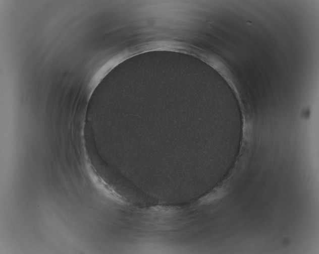 X0000111830954200907301316